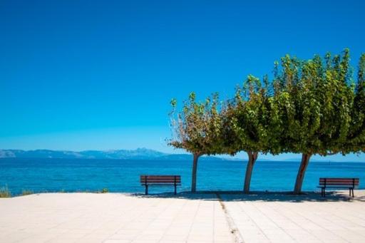 Lavish & Spacious Apt With Stunning Seaview, 10 Min Ath Airport Artemida (Attica) Exterior foto